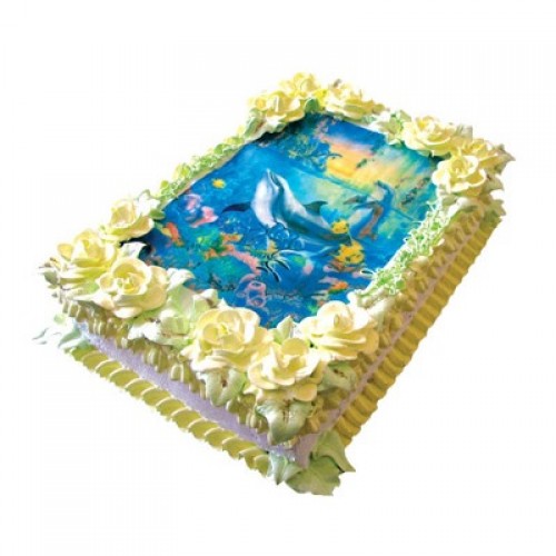 Роденденска - Код за нарачка R08