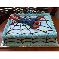 Код за нарачка PIK0022