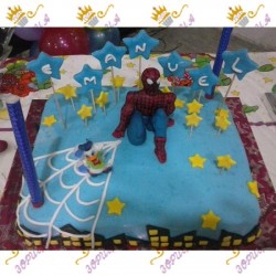 Код за нарачка ZOR0041