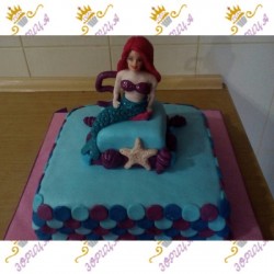 Код за нарачка ZOR0043