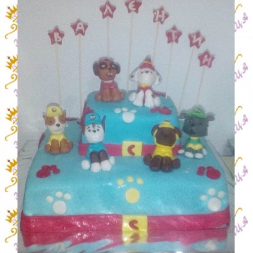 Код за нарачка ZOR0066